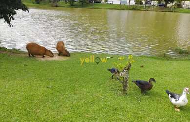 Imagem 9: Casa em Condomínio Fechado em Arujázinho I, II e III - Arujá, SP