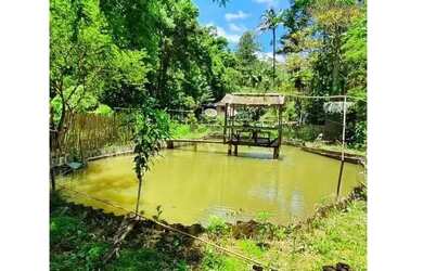 Imagem: A fazenda possui 3.000m² de Área e está localizado em Piracaia