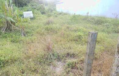 Imagem 4: Terreno no Eliana. 360m² de Área