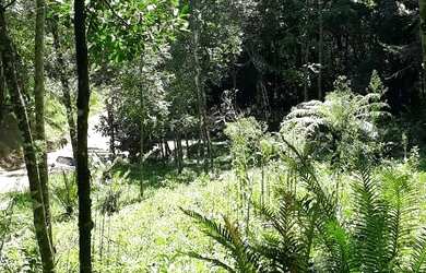 Imagem 6: Sítio em Igrejinha RS. 5.000m² de Área