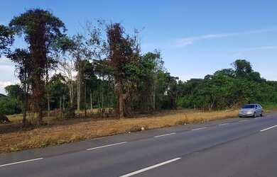 Imagem 8: Rodovia Am 070 - Manoel Urbano