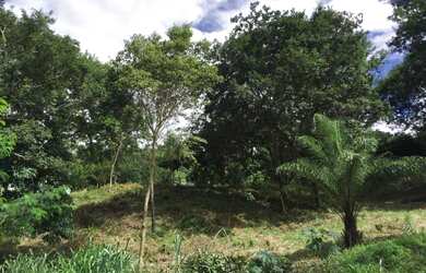 Imagem 5: Lote em Santa Luzia condomínio fechado Vale Do Tamanduá