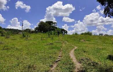 Imagem 13: Fazenda Fazendinha 19 Hectares, 16 Hectares. FLORESTA MG
