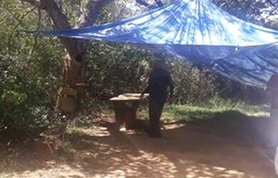 Imagem 2: Fazenda de 96,80 hectares - Município de Flores Goiás