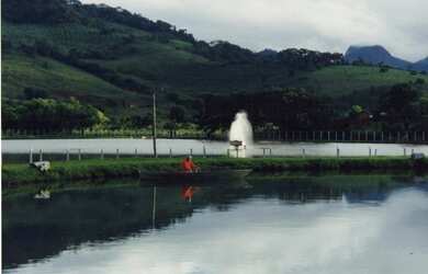 Imagem 3: Linda Fazenda para venda - 25 Alqueires - Lambari - Gonçalves - MG