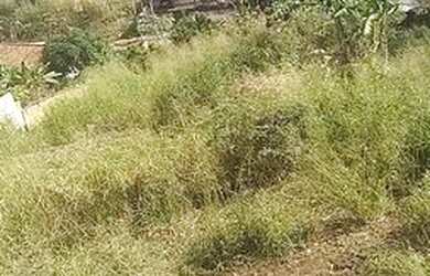 Imagem: O terreno possui 360m² de Área e está localizado em Centro