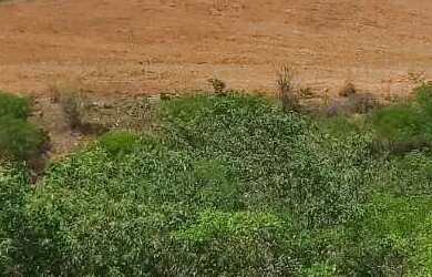 Imagem 3: Sítio localizado no Municípo Sítio do Quinto/BA