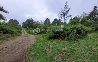 Imagem 7: SITIO NOVA PETROPOLIS. 4.400m² de Área