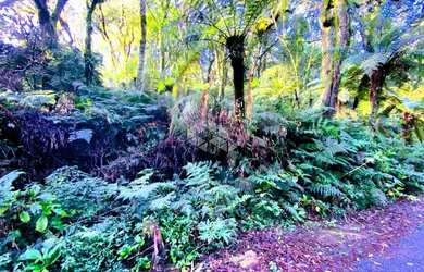 Imagem: O terreno possui 7620m² de Área e está localizado em Maggi