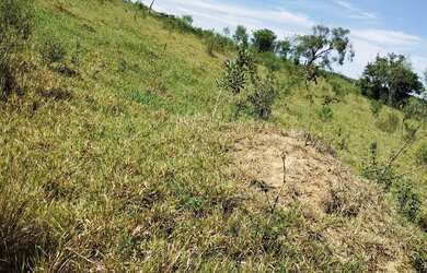 Imagem 8: Sitio Morro Vermelho Pinheiro Alto