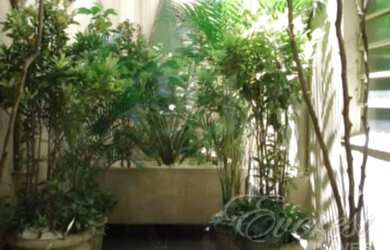 Imagem: APARTAMENTO COM 2 QUARTOS e 2 TERRAÇOS - ACEITA PET - PRÓXIMO