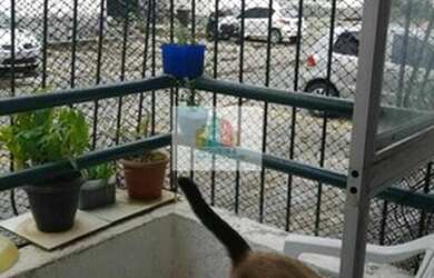 Imagem 3: Siqueira Vende Excelente apartamento em Candeias