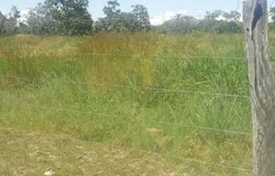 Imagem 4: Fazenda de 96,80 hectares - Município de Flores Goiás