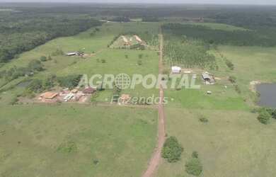 Imagem: A fazenda possui 2.640.000m² de Área, Churrasqueira, Piscina