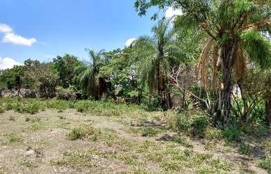 Imagem 10: Terreno plano com 21.600 m² no bairro Cruzeiro do Sul - Betim/MG