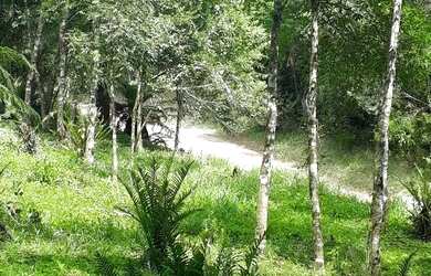 Imagem 3: Sítio em Igrejinha RS. 5.000m² de Área