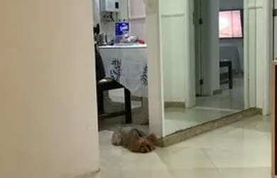 Imagem 9: Apartamento praia. 90m² de Área, 2 Banheirose2 Dormitórios