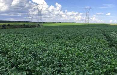 Imagem 8: Fazenda 19 Alqueires Zona Rural - Abadiânia - GO