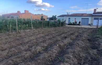 Imagem 3: Vendo lote na Colônia Treze