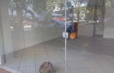 Imagem: O studio possui 1 Dormitório, 1 Banheiro e 31m² de Área e