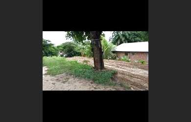 Imagem 3: Terreno no Bairro da Paz. 250m² de Área