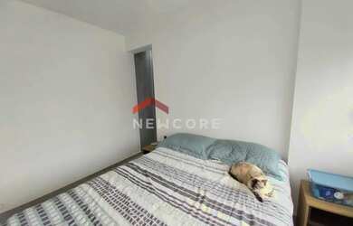 Imagem 11: Apartamento em Rua Princesa Isabel - Brooklin Paulista - São Paulo/SP