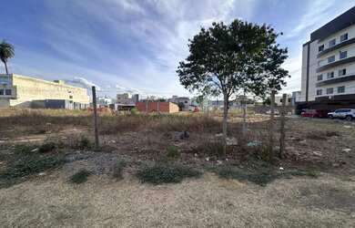 Imagem 4: Lote à venda em Vila Brasília com 293,75m²