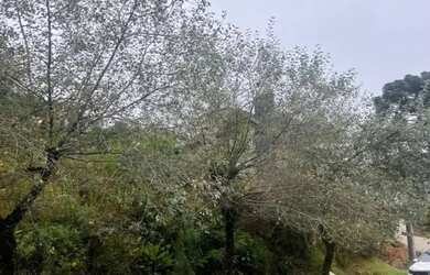 Imagem 3: Terreno - Bairro Vale das Colinas