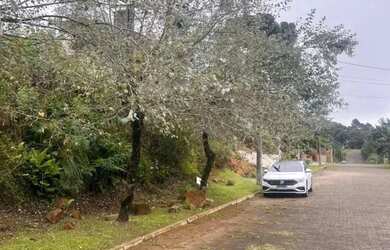 Imagem 2: Terreno - Bairro Vale das Colinas