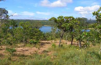 Imagem 2: Lote três marias. 7.500m² de Área