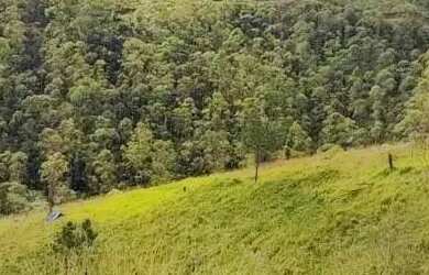 Imagem: O terreno possui 600m² de Área e está localizado em Portão