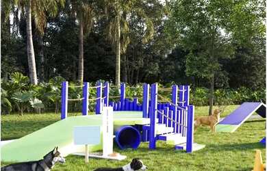 Imagem 14: GUARAPARI - LANÇAMENTO. Piscina, Churrasqueira, 300m² de Áreae2 Vagas...