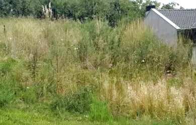 Imagem: CAXIAS DO SUL - Terreno Padrão - MONTE BÉRICO