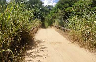 Imagem 10: Fazenda Fazendinha 19 Hectares, 16 Hectares. FLORESTA MG