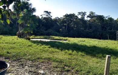 Imagem 10: Chácara com igarapé. 32.000m² de Área