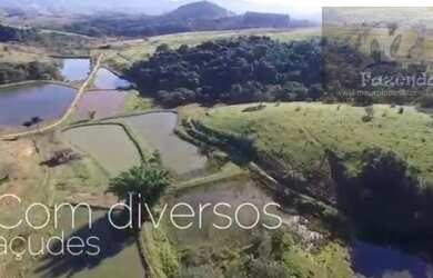 Imagem 3: Fazenda em Ouro Fino - MG com 92 alqs Uma Riqueza no Sul de Minas