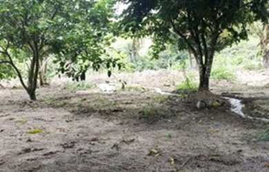 Imagem: A fazenda possui 70.000m² de Área e está localizado em Joaquim