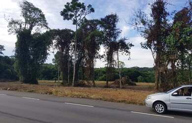 Imagem 2: Rodovia Am 070 - Manoel Urbano