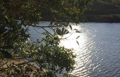 Imagem 1: Lotes URBANOS para venda tem 1800 metros quadrados em Zona URBANA - Capitólio - MG