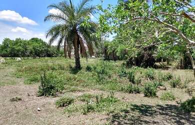 Imagem 7: Terreno plano com 21.600 m² no bairro Cruzeiro do Sul - Betim/MG