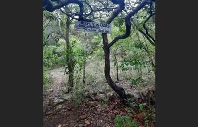 Imagem 13: Chácara. 8.000m² de Área