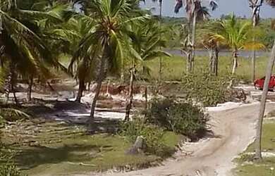 Imagem: O terreno possui 6.206m² de Área e está localizado em Paço