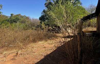 Imagem 5: Fazenda arrendamento 700hec pra abrir em aliança do Tocantins TO