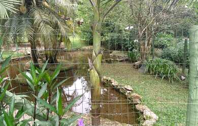 Imagem 7: Imóvel para venda com 1038 metros quadrados em Roseira - Mairiporã -...