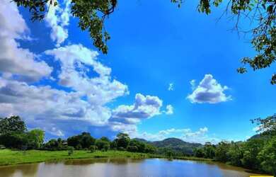 Imagem 3: Sítio / Chácara para Venda em Linha Nova, Linha Nova