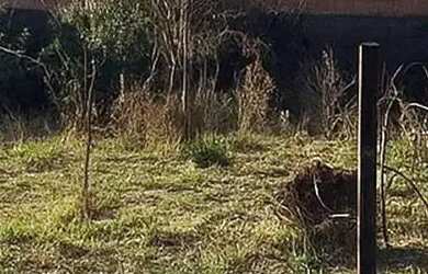 Imagem: O terreno possui 906m² de Área e está localizado em Senador