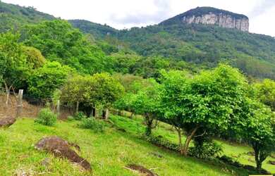 Imagem 10: Sítio / Chácara para Venda em Nova Petrópolis, Linha Riachuelo, 3 dormitórios,...
