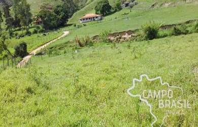 Imagem: A fazenda possui 50m² de Área e está localizado em Alto