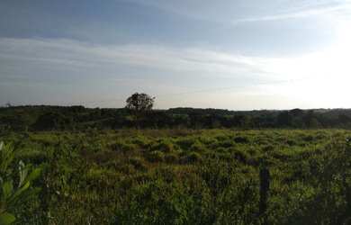 Imagem 3: 62 alqueires no Pará a ,zap R$ 2.500.000,00