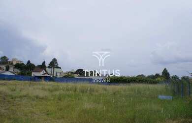 Imagem 14: Terreno à venda, 3682 m² por R$ 4.000.000,00 - Tingui - Curitiba/PR